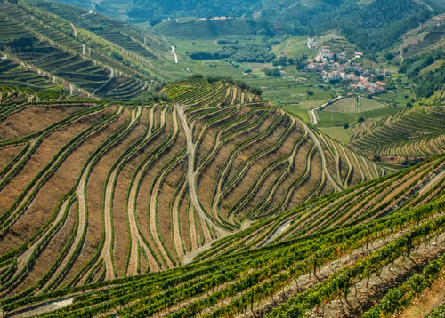 Portugal citizenship by investment