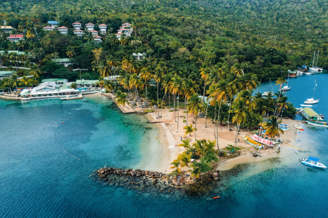 Island of the Iguanas